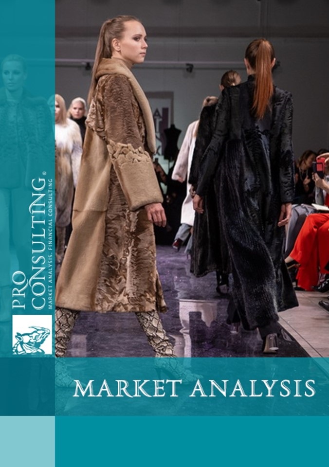 Research of the clothing market in the Performance/Lifestyle segment in Kazakhstan. 2024 year